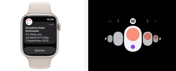 Tính năng theo dõi chu kỳ kinh nguyệt trên Apple Watch 8